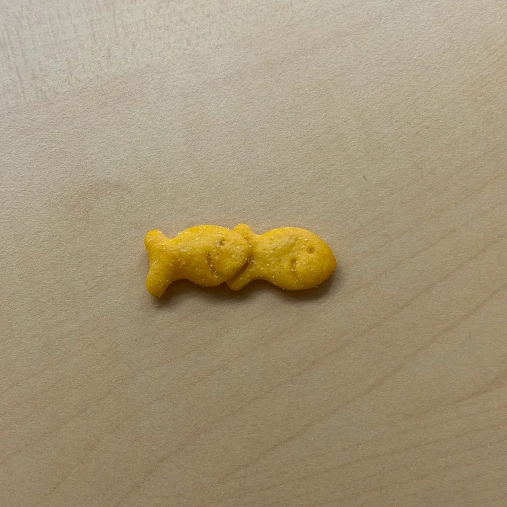RARE “Twin” Goldfish Cracker Snack Collectible